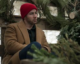 乔纳森兄弟：圣诞大电影(全集)