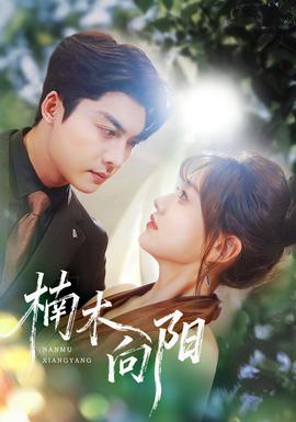 楠木向阳(全集)