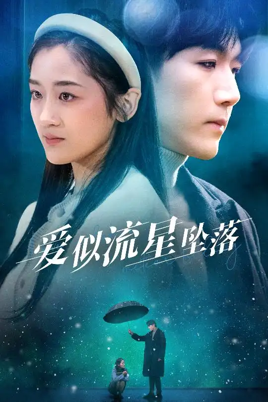 爱似流星坠落 你比我重要万倍(全集)