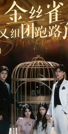 金丝雀又组团跑路了(全集)