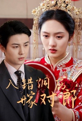 入错洞房嫁对郎(全集)