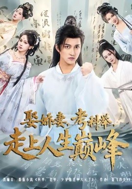 娶娇妻，考科举，走上人生巅峰(全集)