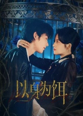 以身为饵短剧(全集)