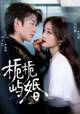 栀栀屿婚(全集)